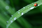 水珠水纹雨滴