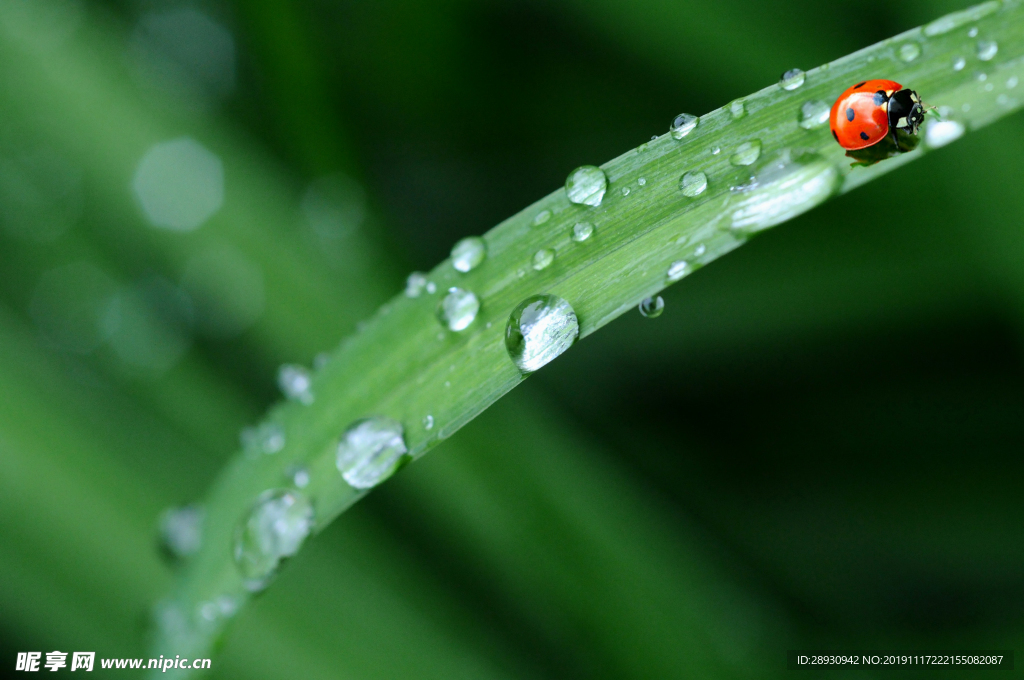 水珠水纹雨滴