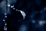 水珠水纹雨滴