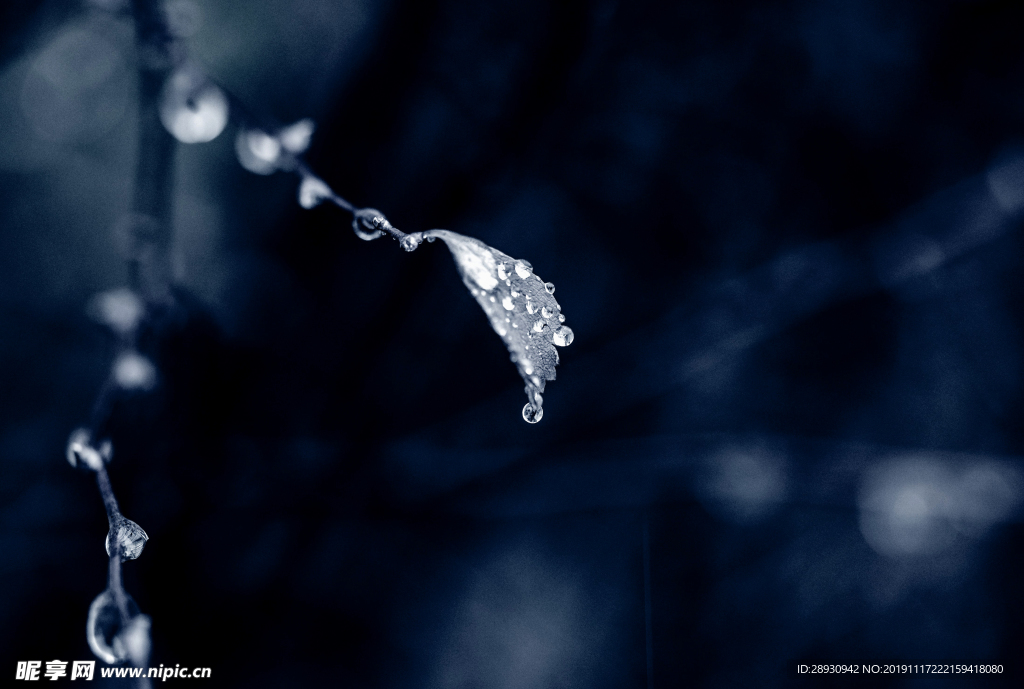 水珠水纹雨滴