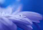 水珠水纹雨滴