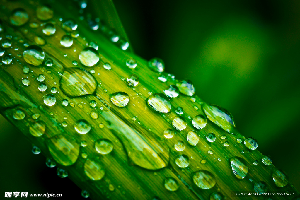 水珠水纹雨滴