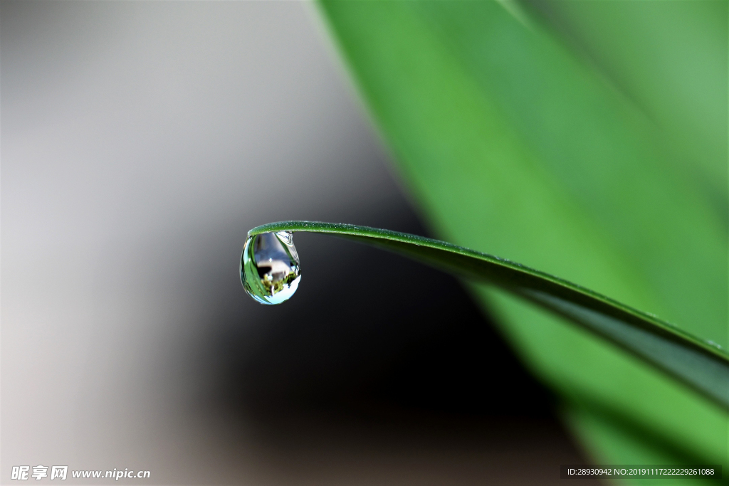 水珠水纹雨滴