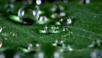 水珠水纹雨滴