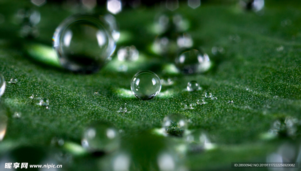 水珠水纹雨滴