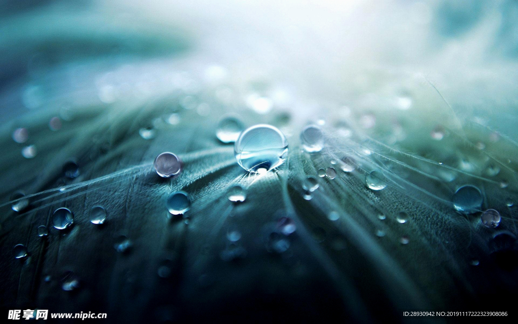 水珠水纹雨滴