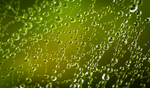 水珠水纹雨滴