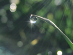 水珠水纹雨滴