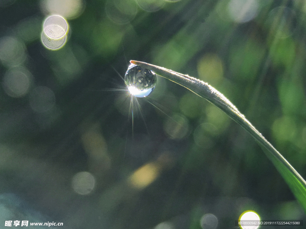 水珠水纹雨滴