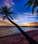 夕阳沙滩椰子树