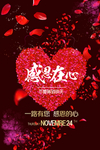 感恩节