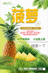 菠萝海报