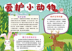动物小报