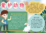 动物小报