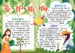 植物小报