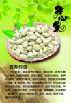 开心果