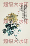 梅兰竹菊