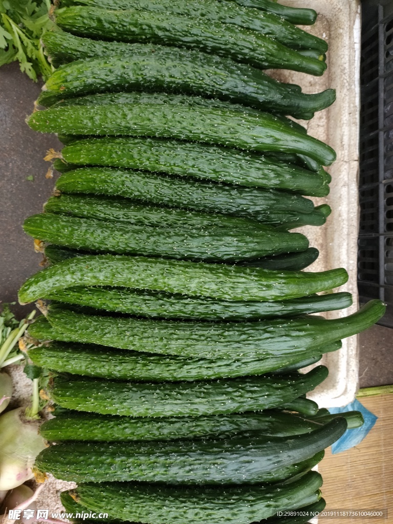 黄瓜