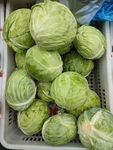 包菜