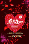 感恩节