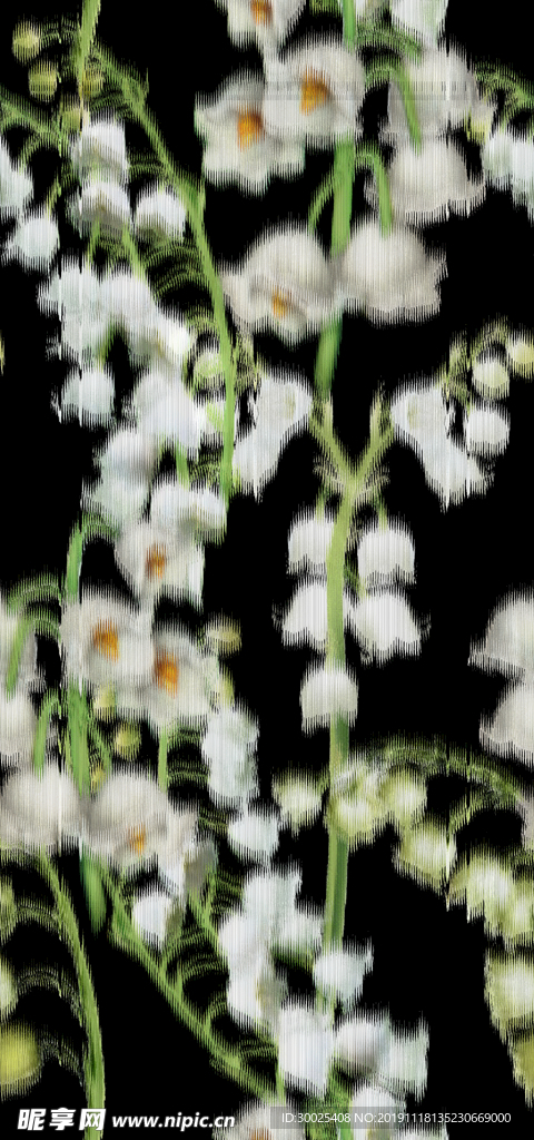 花蕾