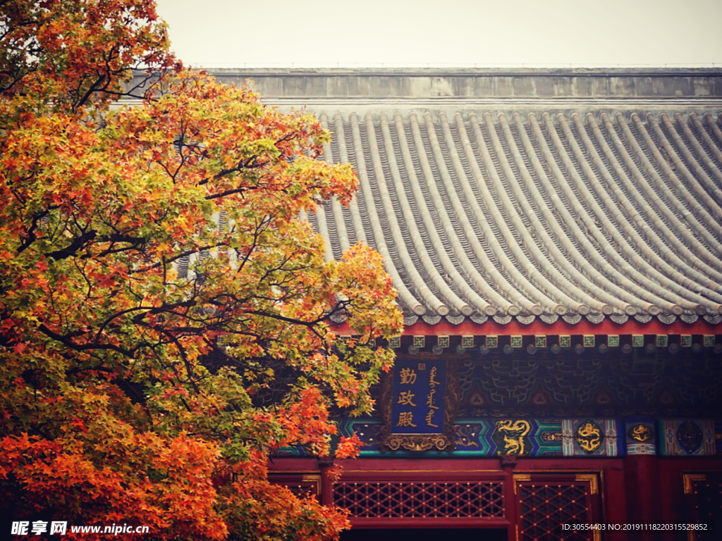 香山公园风景