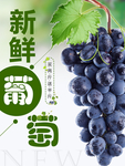 新鲜葡萄