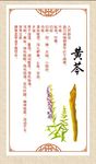 黄芩