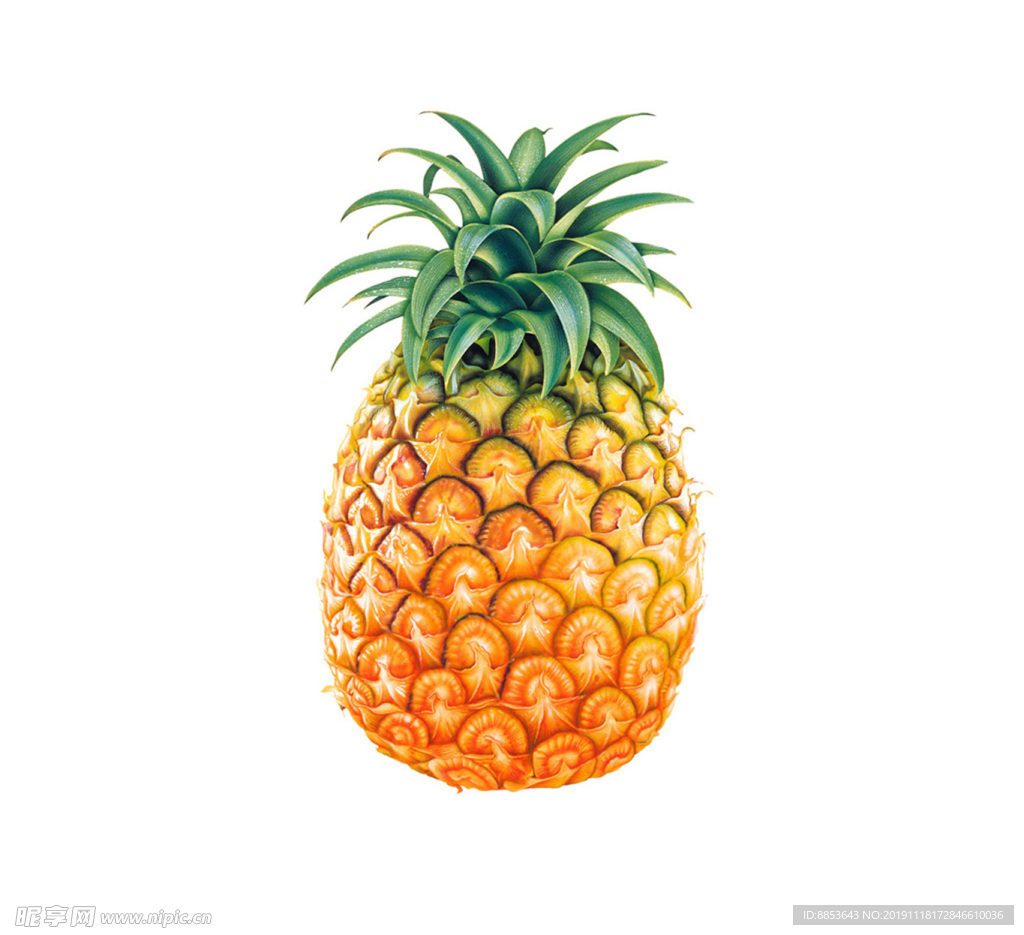 菠萝