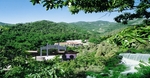 邹平鹤伴山