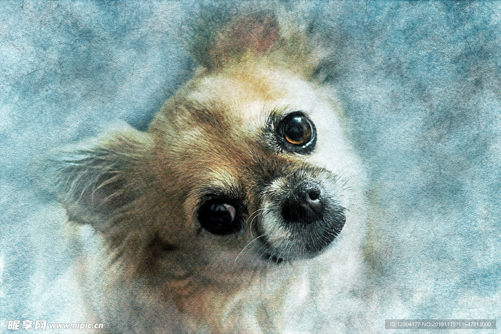 狗水彩画