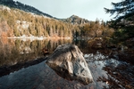 高山森林河流树木风景