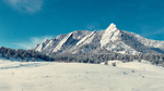 雪山树林大雪风景背景