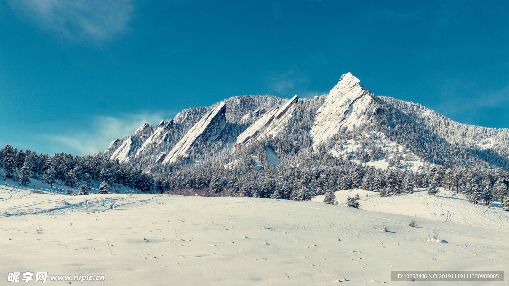 雪山树林大雪风景背景