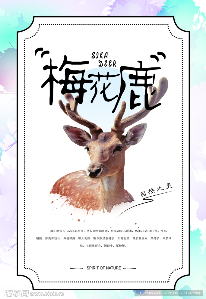 梅花鹿海报