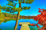 风景