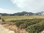 天空   蓝天    草地