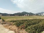 天空   蓝天    草地