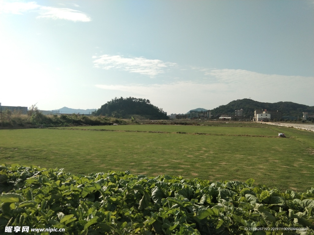 天空   蓝天    草地