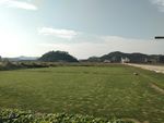 天空   蓝天    草地