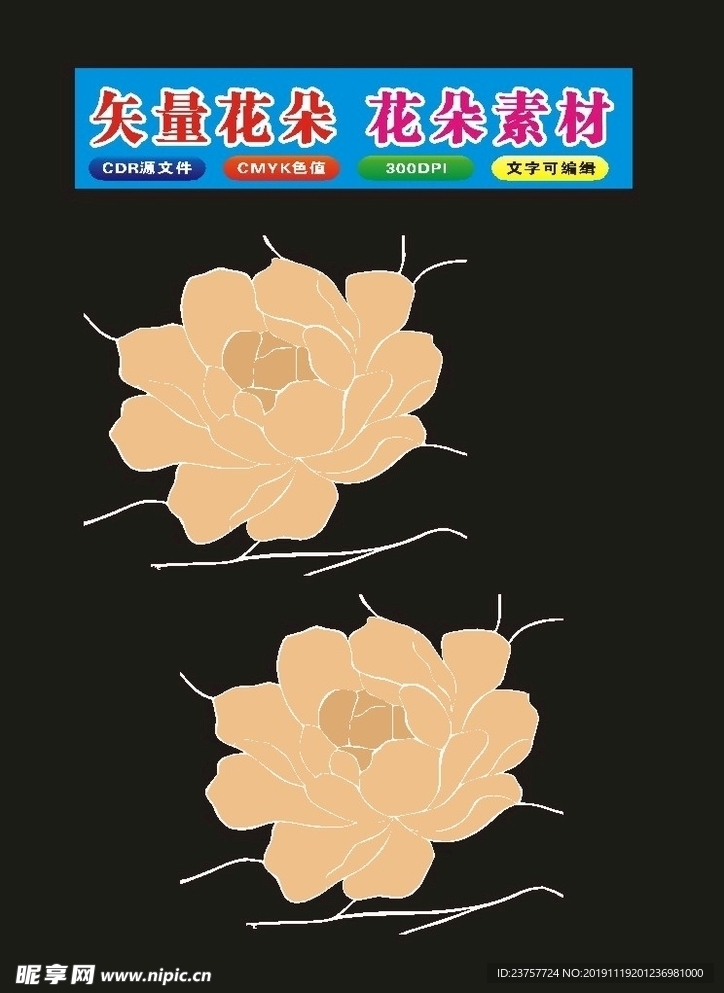 花朵大脑畅想