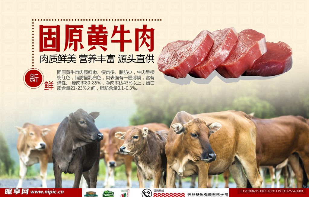 海报设计 牛羊肉宣传 广告宣传