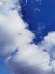 茫