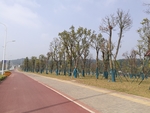 人行道
