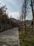 黄河湿地公园风景油画效果摄影图