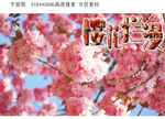 樱花烂漫背景设计图片