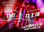 百威啤酒