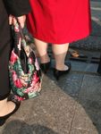 美腿丝袜
