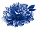 青花瓷花纹图案