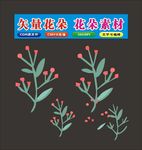 花朵畅想时间